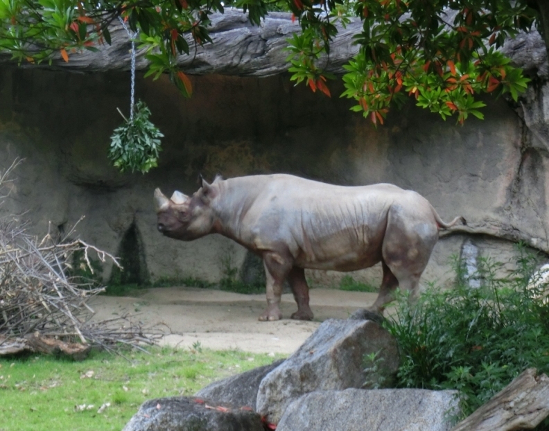 e0266067_10353457.jpg