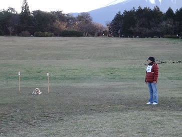 e0100584_0154351.jpg