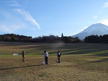 e0100584_0204149.jpg