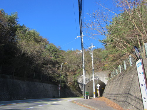 a0251786_20424385.jpg