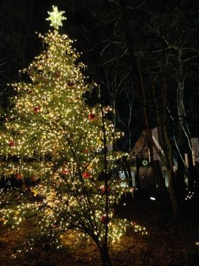 f0129390_1831561.jpg