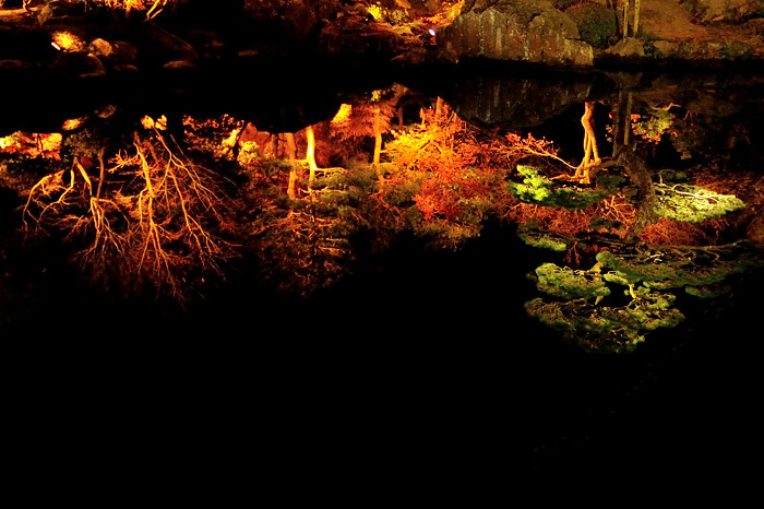 a0143491_212727100.jpg