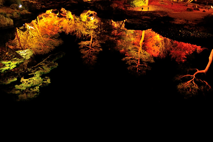 a0143491_21281638.jpg