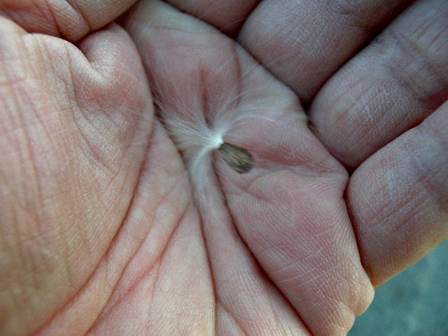 a0199297_18201225.jpg