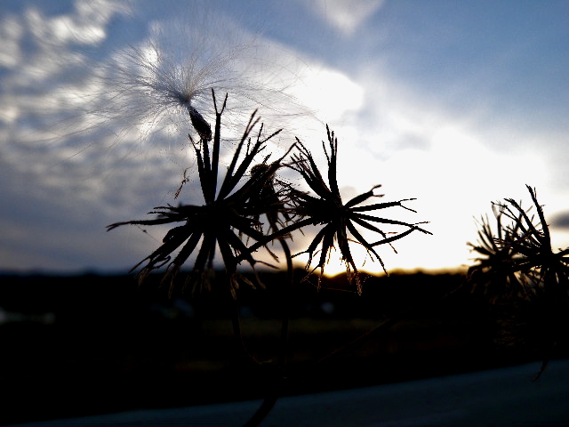 a0199297_18203188.jpg