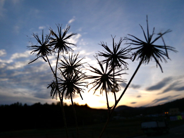 a0199297_18222597.jpg