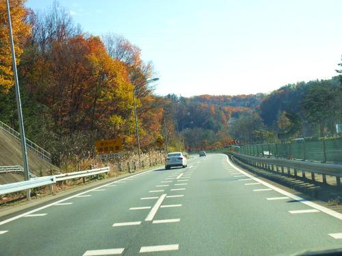 c0090198_21353592.jpg