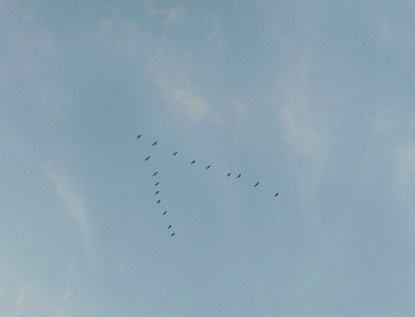e0077899_7164043.jpg