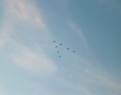 e0077899_7173920.jpg