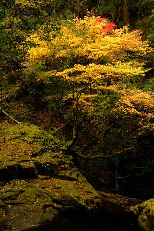 a0249004_1254611.jpg