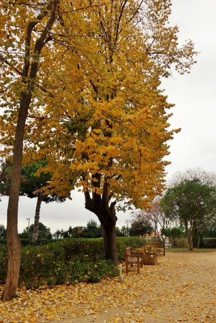 b0064411_22532547.jpg