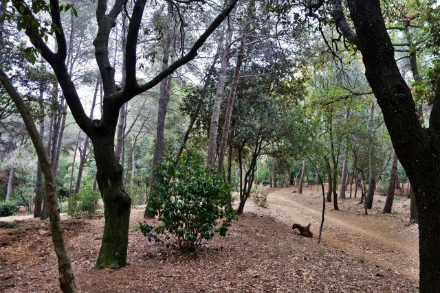 b0064411_22532557.jpg