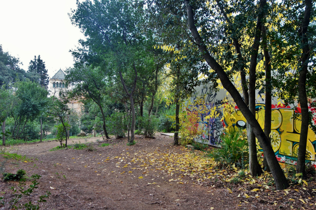 b0064411_22532626.jpg
