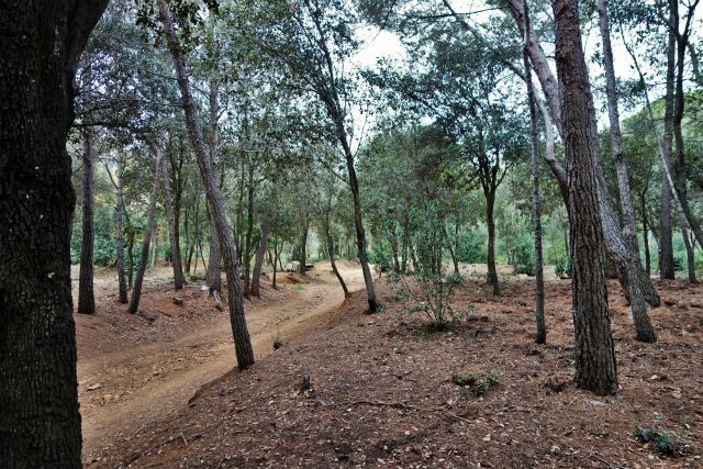 b0064411_22532648.jpg