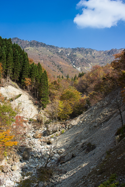 b0244811_2023783.jpg