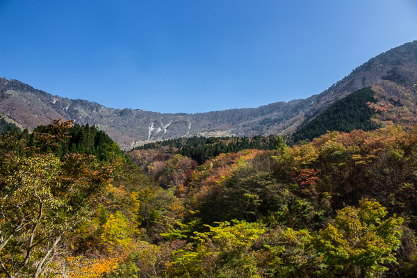 b0244811_20351444.jpg