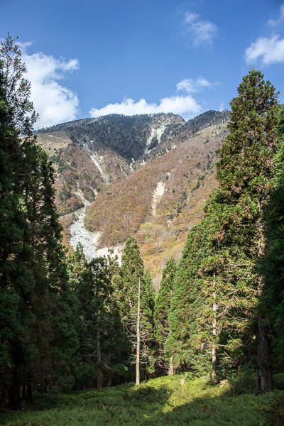 b0244811_2044818.jpg