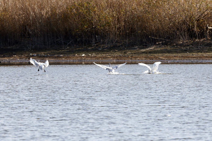 f0239515_2241169.jpg