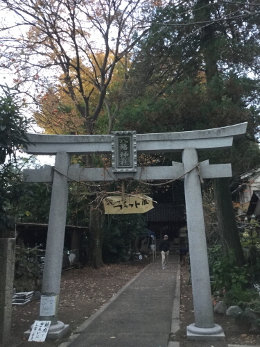 c0319417_18100320.jpg