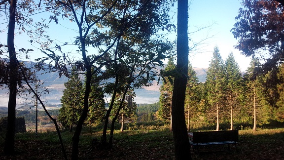 f0031420_1791349.jpg