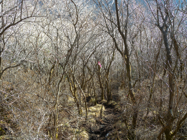 e0272335_21543282.jpg