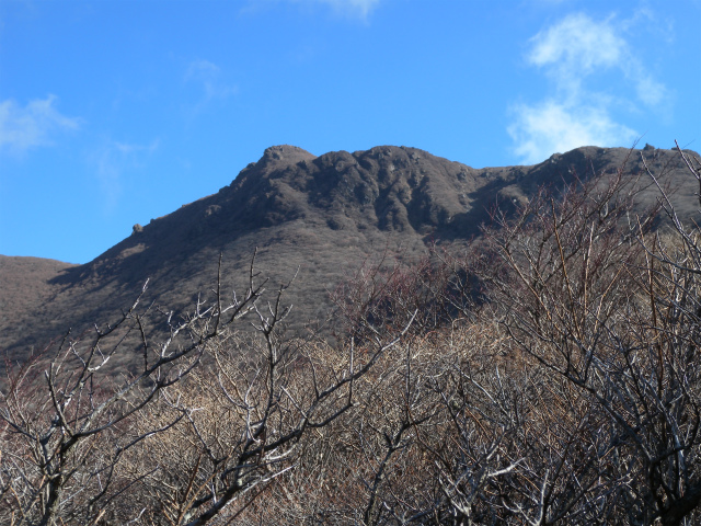 e0272335_21582047.jpg