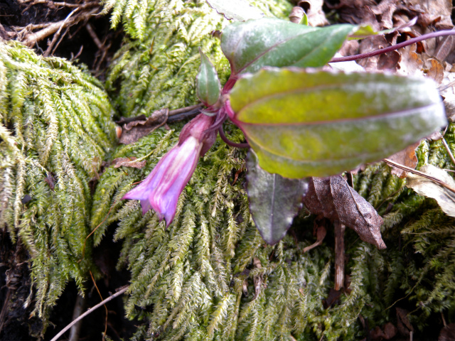 e0272335_2214894.jpg