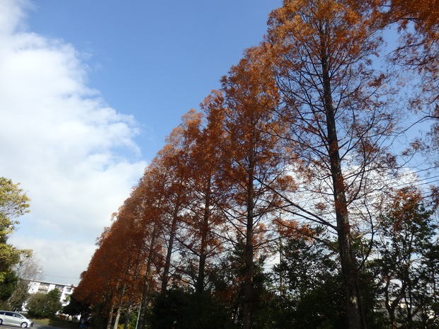 a0054240_21233638.jpg