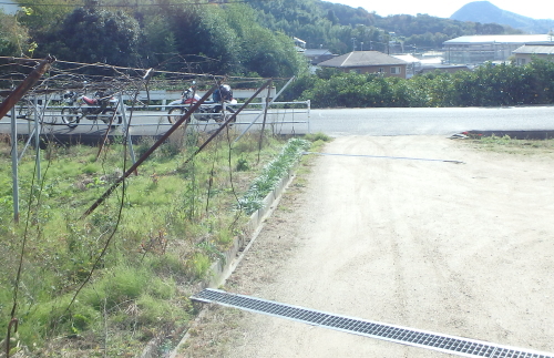 c0339546_20275037.jpg