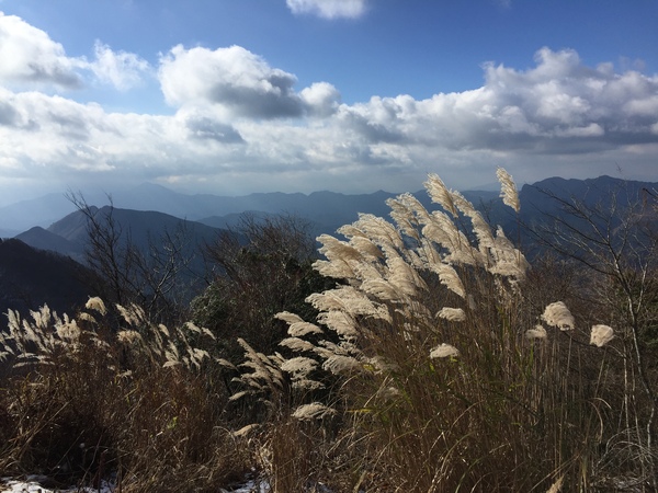 c0042847_16221128.jpg