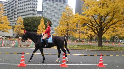 f0309148_21581074.jpg
