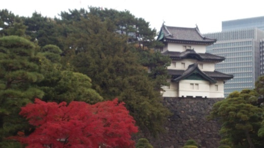f0309148_22082555.jpg