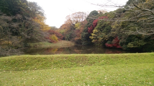 f0309148_23172641.jpg
