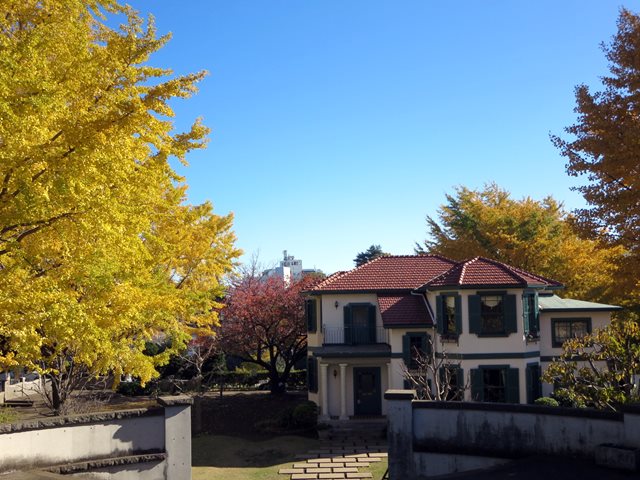 b0009849_1751193.jpg