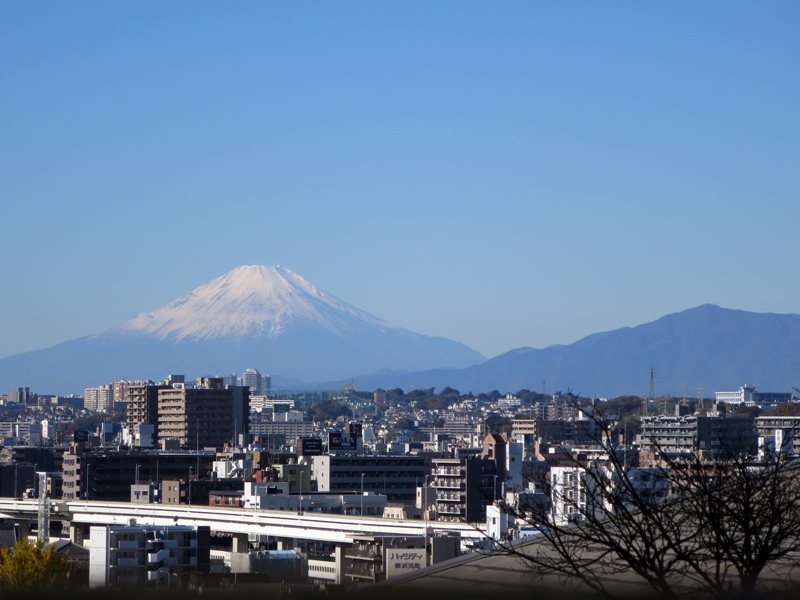 b0009849_1753552.jpg