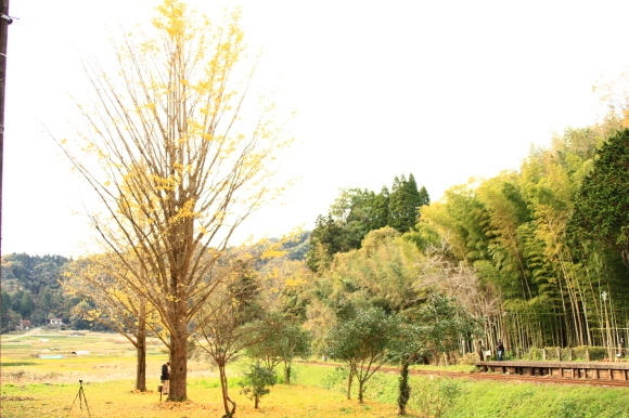 c0261349_22154544.jpg