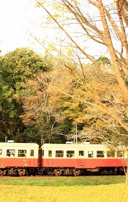 c0261349_22270581.jpg