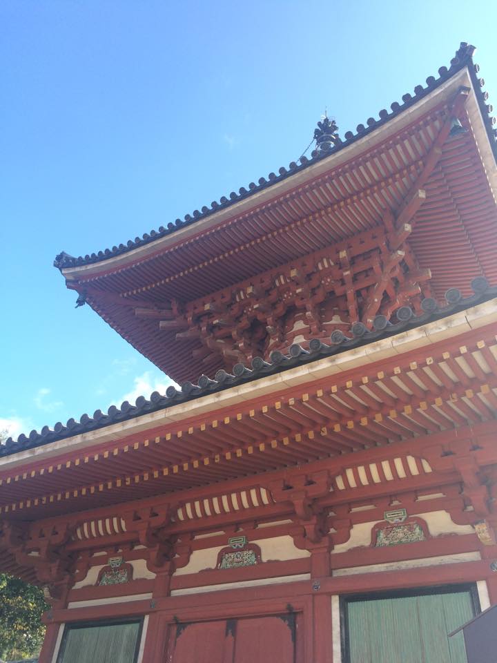 a0070655_1417505.jpg