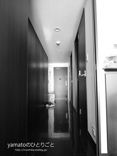 a0286855_6262881.gif