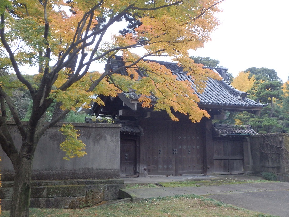 b0335256_17281560.jpg