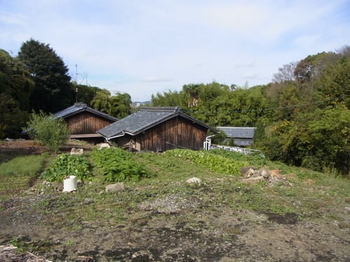 a0187861_1432275.jpg