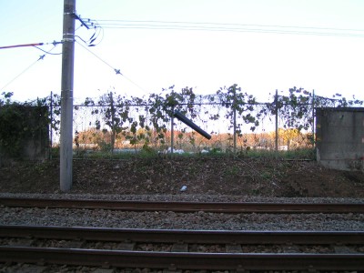 c0112172_23342740.jpg