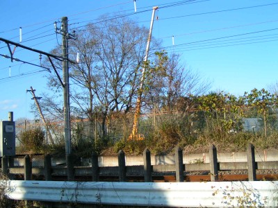c0112172_2334813.jpg