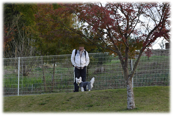 b0242873_01374486.png
