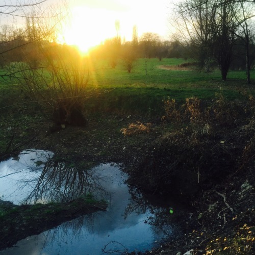 b0176275_14220446.jpeg