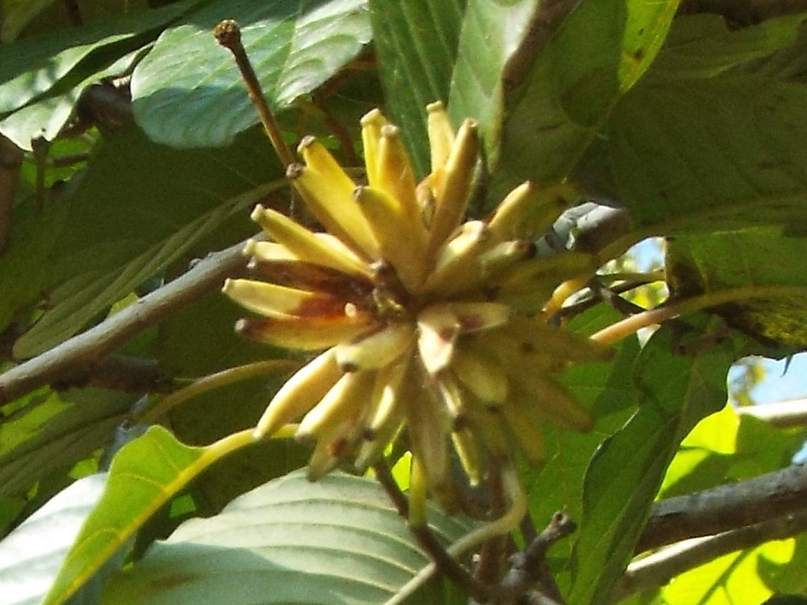 e0145782_2003637.jpg