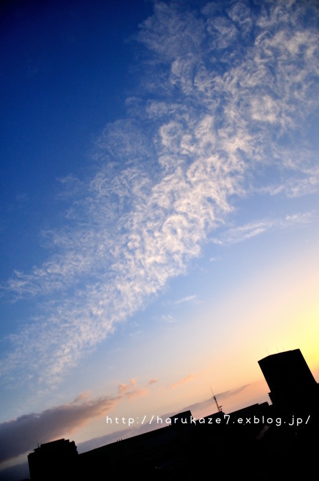 e0148083_22013328.jpg