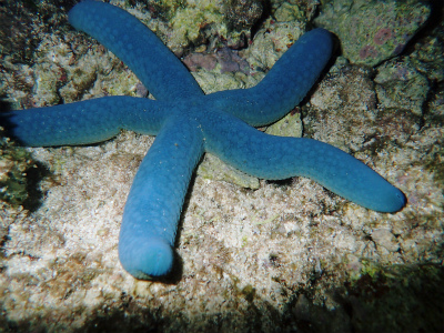 f0338188_18455032.jpg
