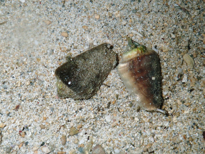 f0338188_1847731.jpg