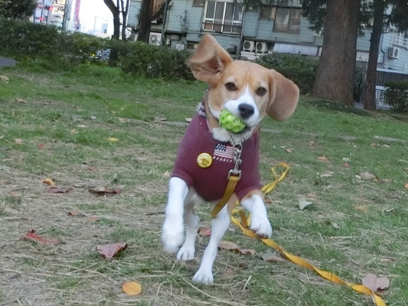 a0319693_850440.jpg